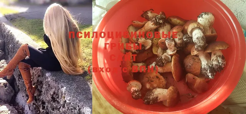 Галлюциногенные грибы Magic Shrooms  Богородск 